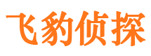 海淀市侦探调查公司